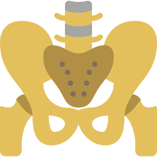 Pelvis icon