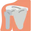 Shoulder icon 64x64