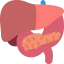 Liver icon 64x64