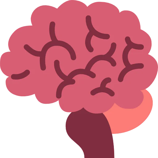 Brain icon