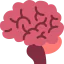 Brain icon 64x64