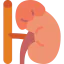 Adrenal gland icon 64x64