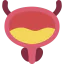 Bladder icon 64x64