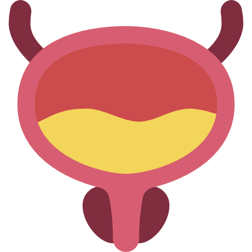Bladder Ikona