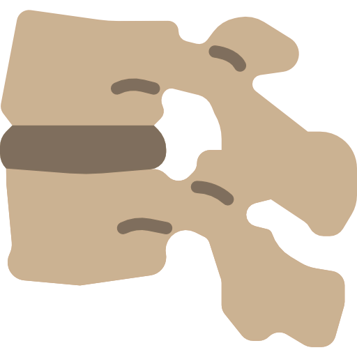 Vertebra icon