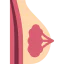 Breast icon 64x64