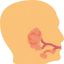 Salivary glands icon 64x64