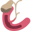 Gallbladder icon 64x64