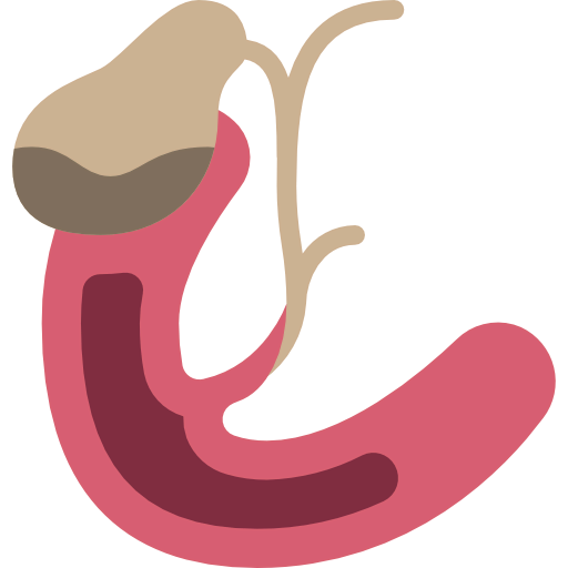 Gallbladder icon