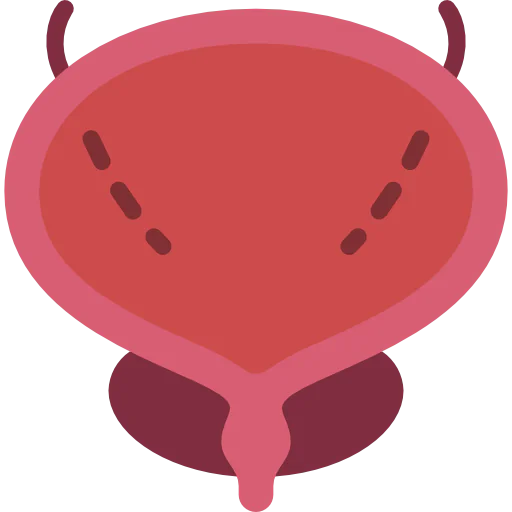 Bladder icon