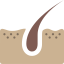 Dermis icon 64x64