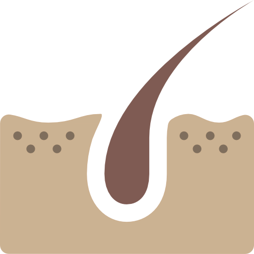 Dermis icon