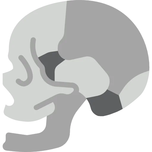 Skull icon