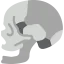 Skull icon 64x64