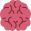 Brain icon 64x64