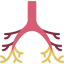 Bronchi icon 64x64