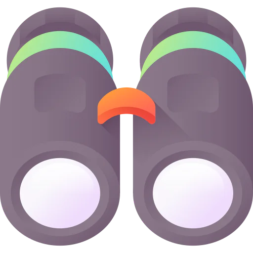 Binoculars icon