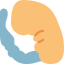Embryo icon 64x64