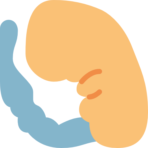 Embryo icon