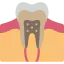 Tooth icon 64x64