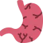 Stomach icon 64x64