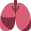 Lungs icon 64x64