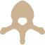 Vertebra icon 64x64