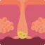 Dermis icon 64x64