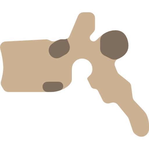 Vertebra icon
