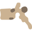 Vertebra icon 64x64