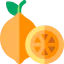 Lime icon 64x64