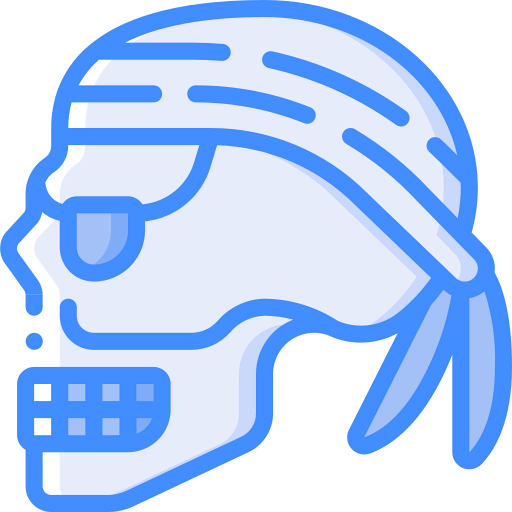 Skull icon