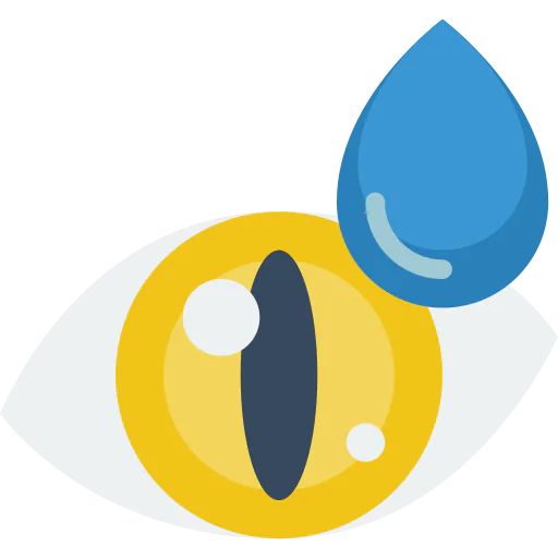 Eye icon