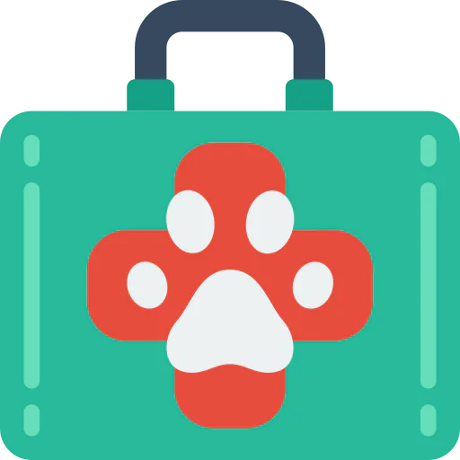 First aid icon