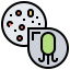 Bacteria icon 64x64