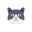 Cat face icon 64x64