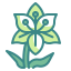 Lily icon 64x64