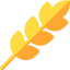 Wheat icon 64x64