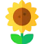 Sunflower icon 64x64
