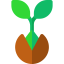 Germination icon 64x64