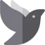 Dove icon 64x64