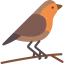 Robin icon 64x64