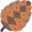 Pine cone icône 64x64