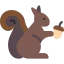 Squirrel icon 64x64