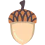Acorn icon 64x64
