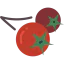 Berries icon 64x64