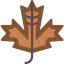 Leaf icon 64x64