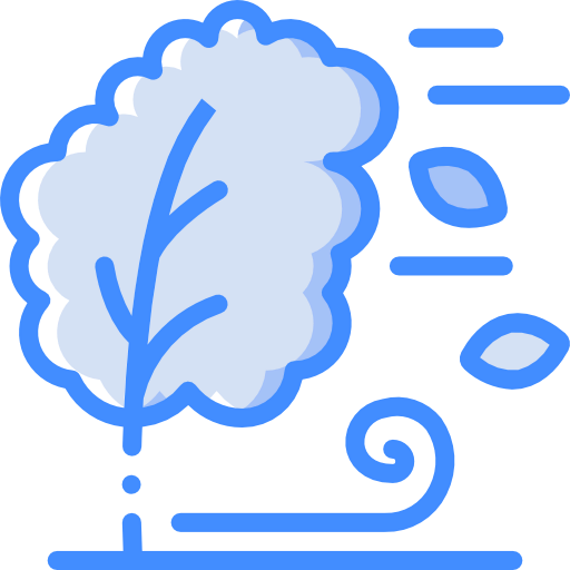 Wind icon