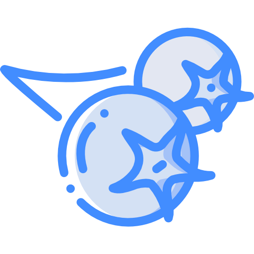 Berries icon
