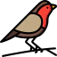 Robin icon 64x64